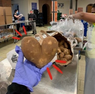 Potato shaped like a heart