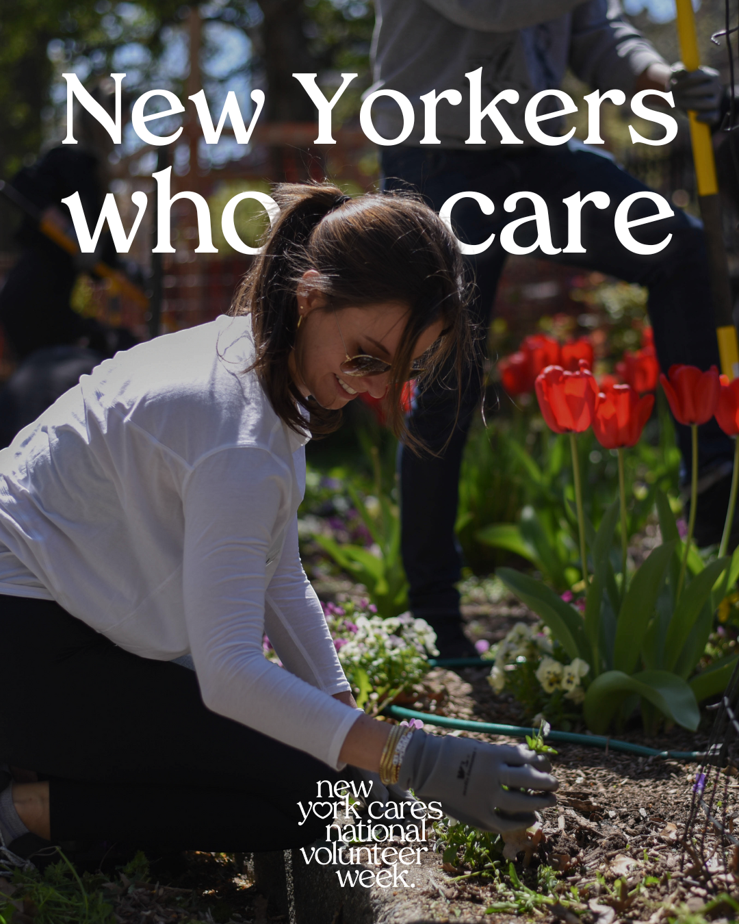 New Yorkers Who Care graphic with a volunteer gardening