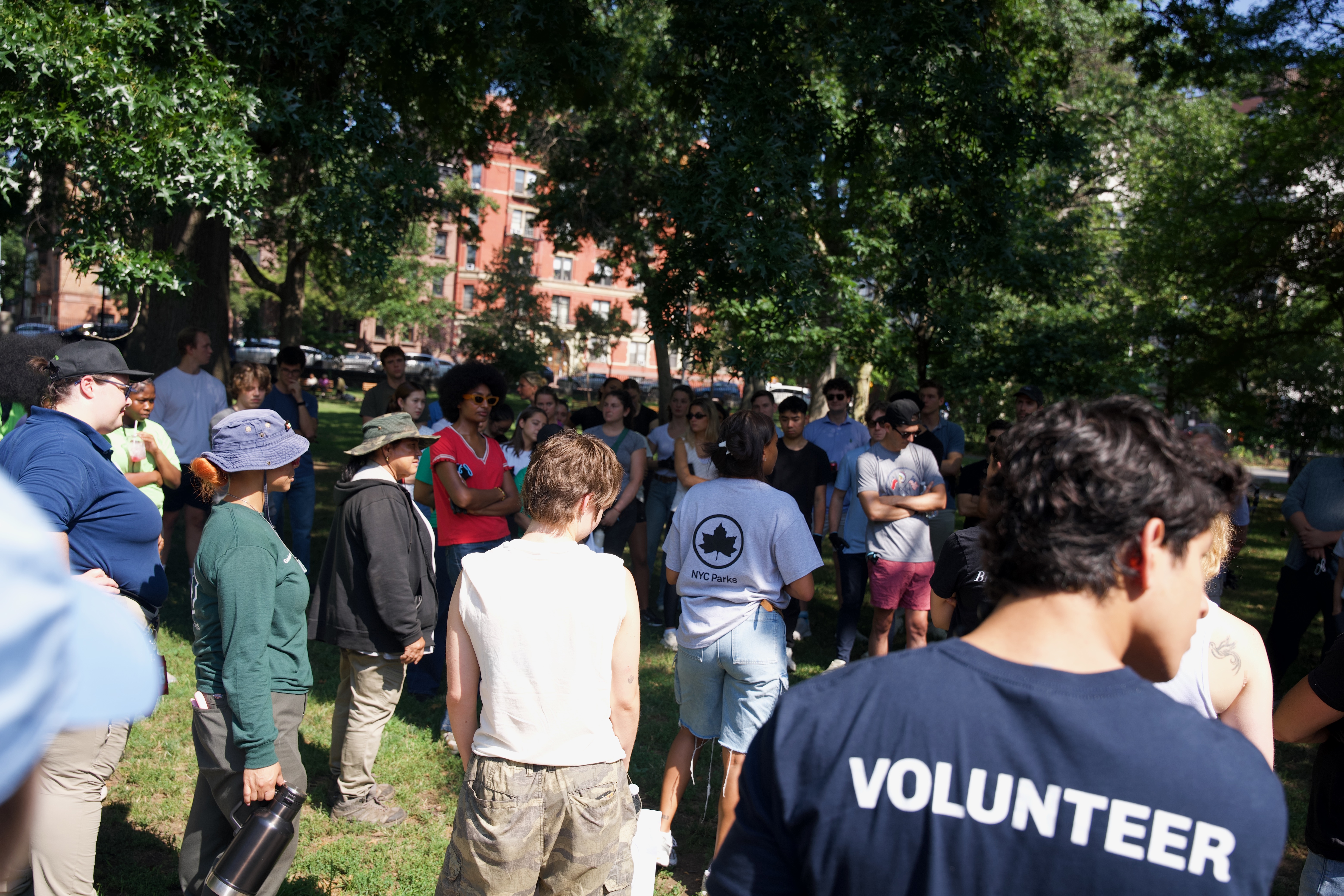 Park Group Volunteer