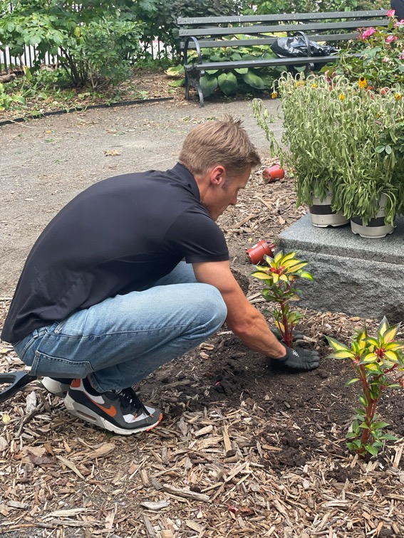 Volunteer planting flowers