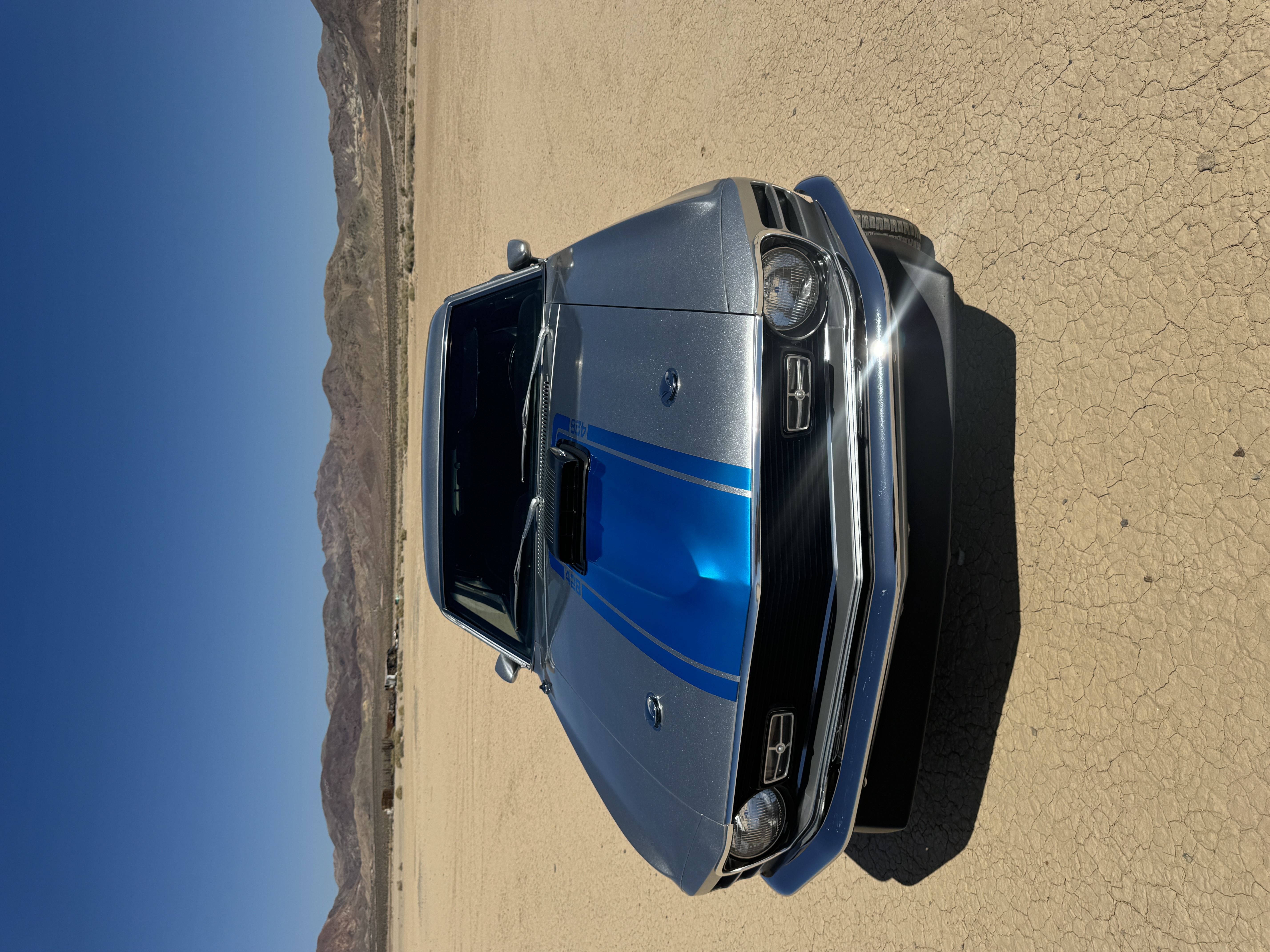 Mustang photo_img4