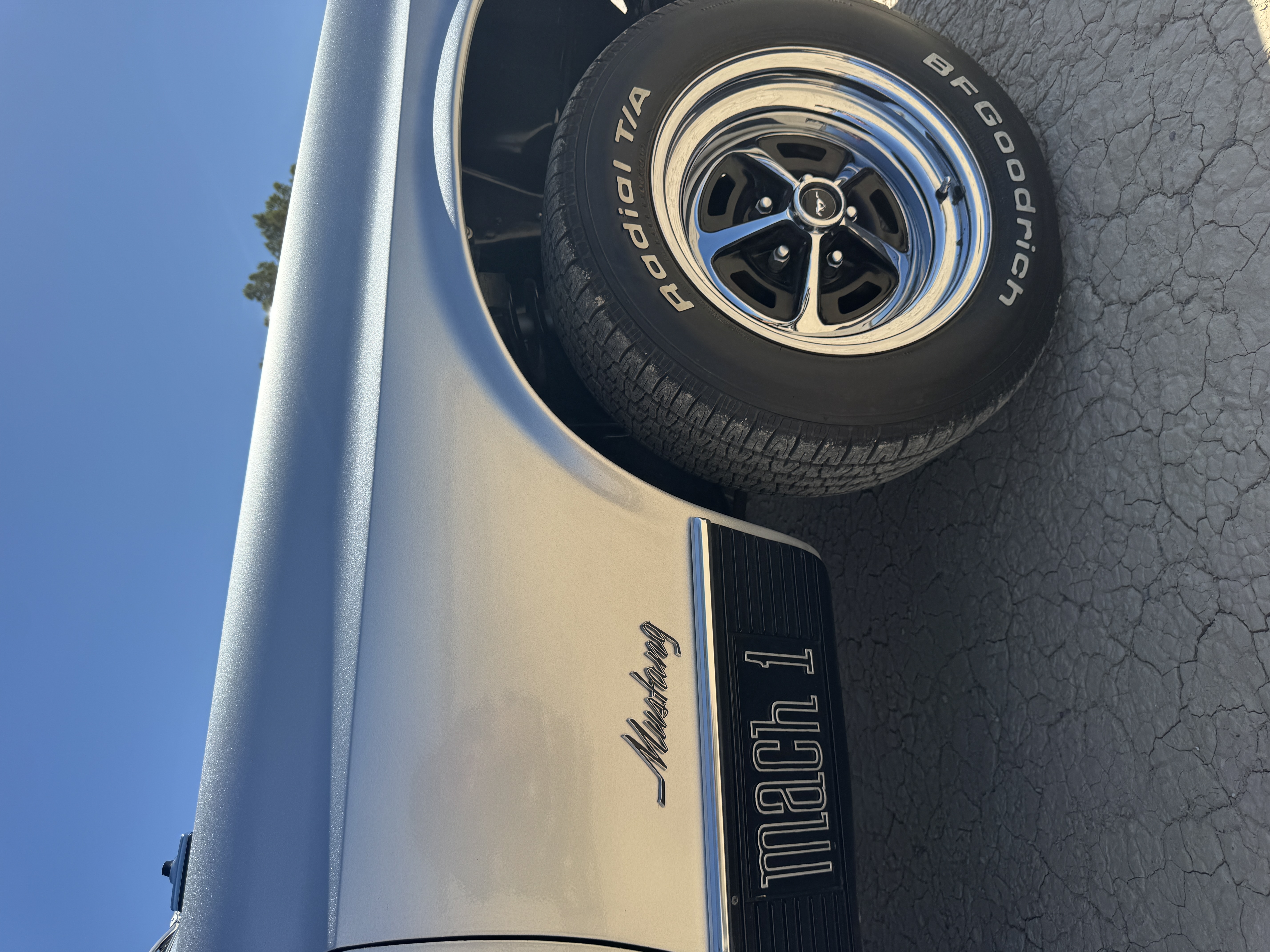 Mustang photo_img2