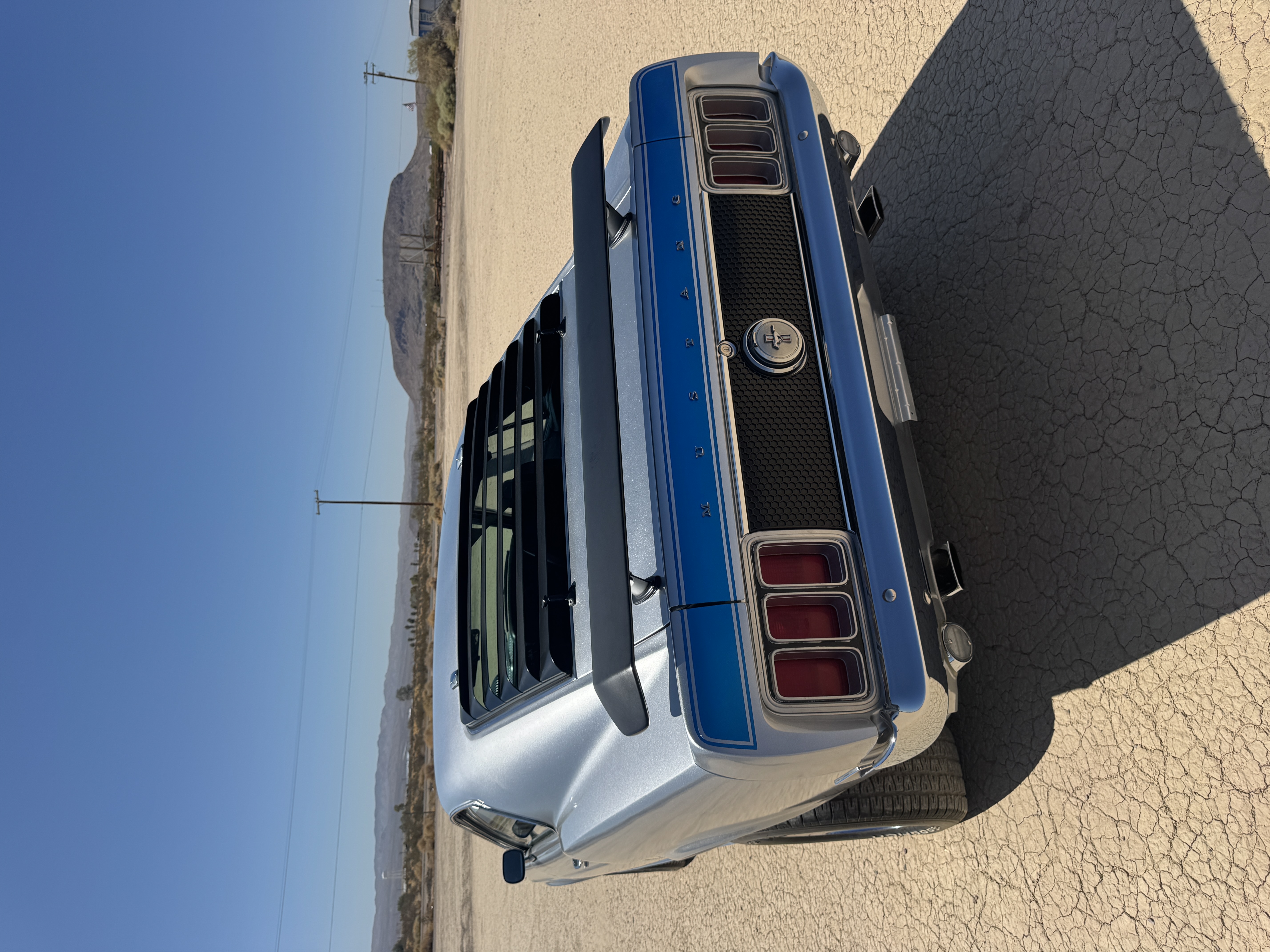 Mustang photo_img1